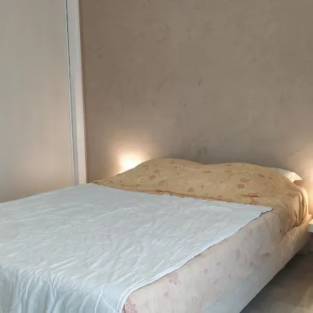 Palmier Yourhosthelper